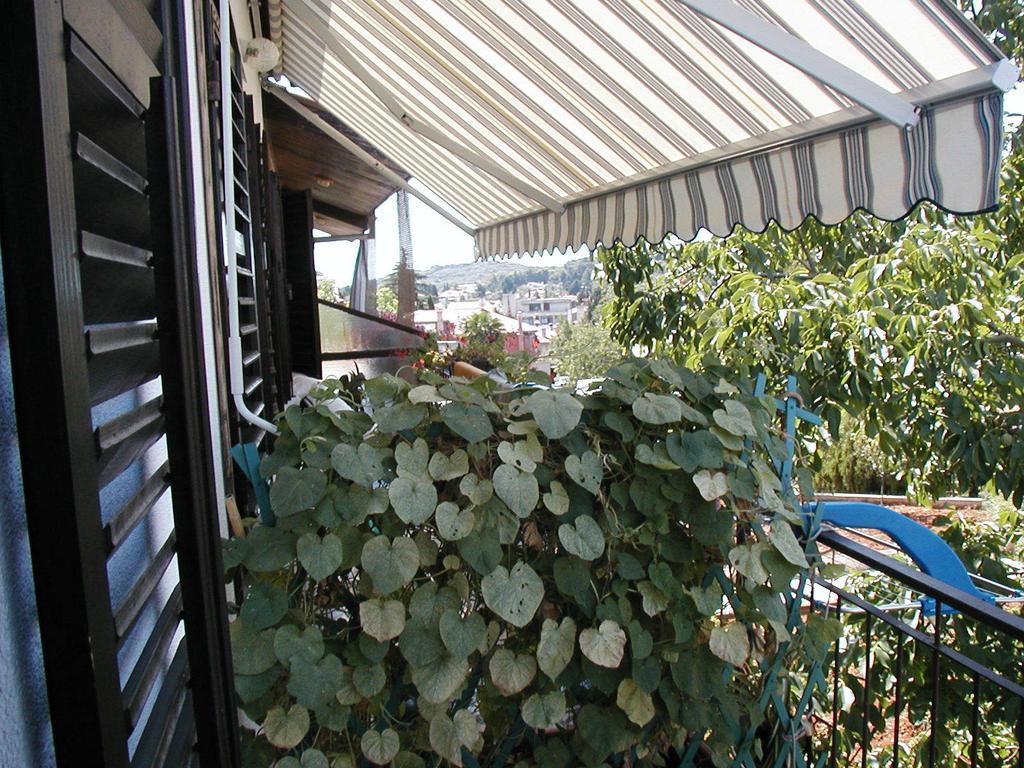 Apartment Iva Rovinj